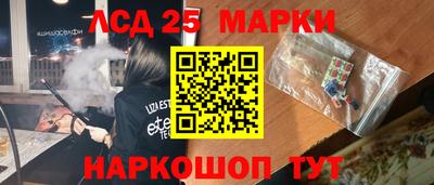 прущие грибы Можайск