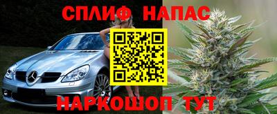 прущие грибы Можайск