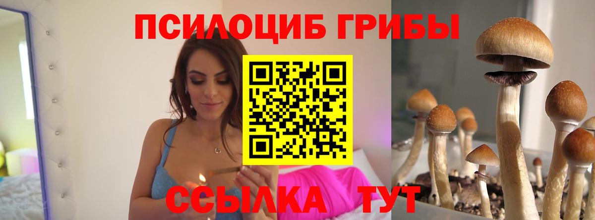 Черняховск  Псилоцибиновые грибы мухоморы  Вход с VPN 